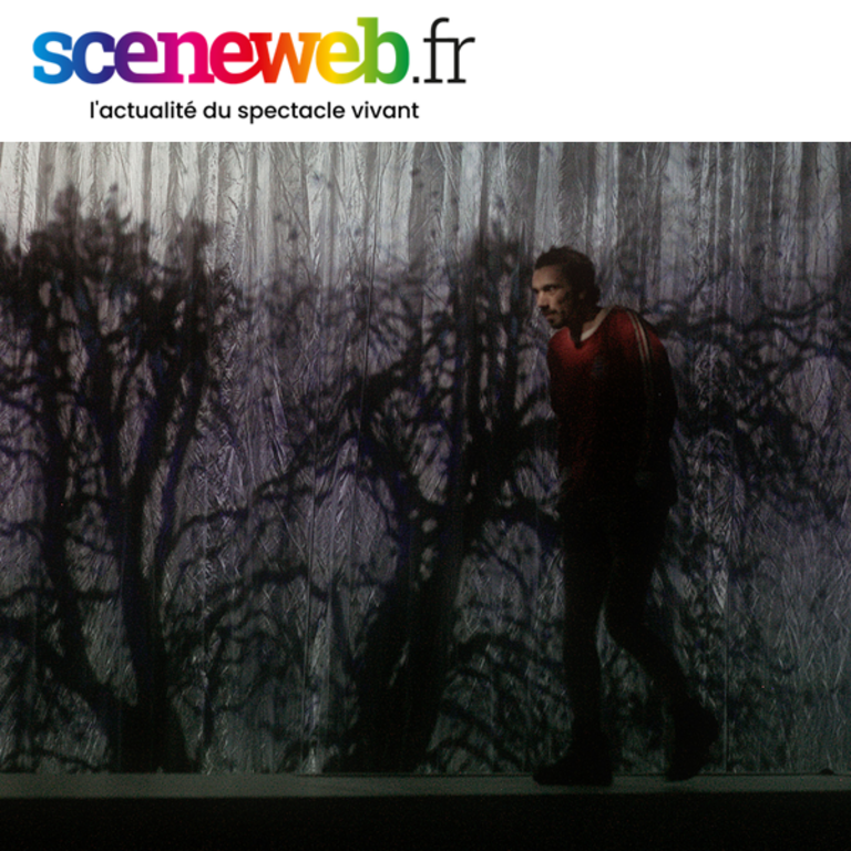 Tandem - Critique du spectacle