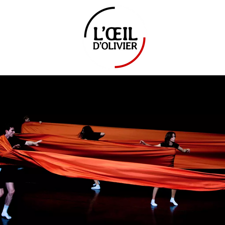 Tandem - Critique du spectacle