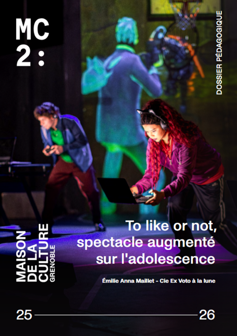 Tandem - Dossier pédagogique <i>To like or not</i>