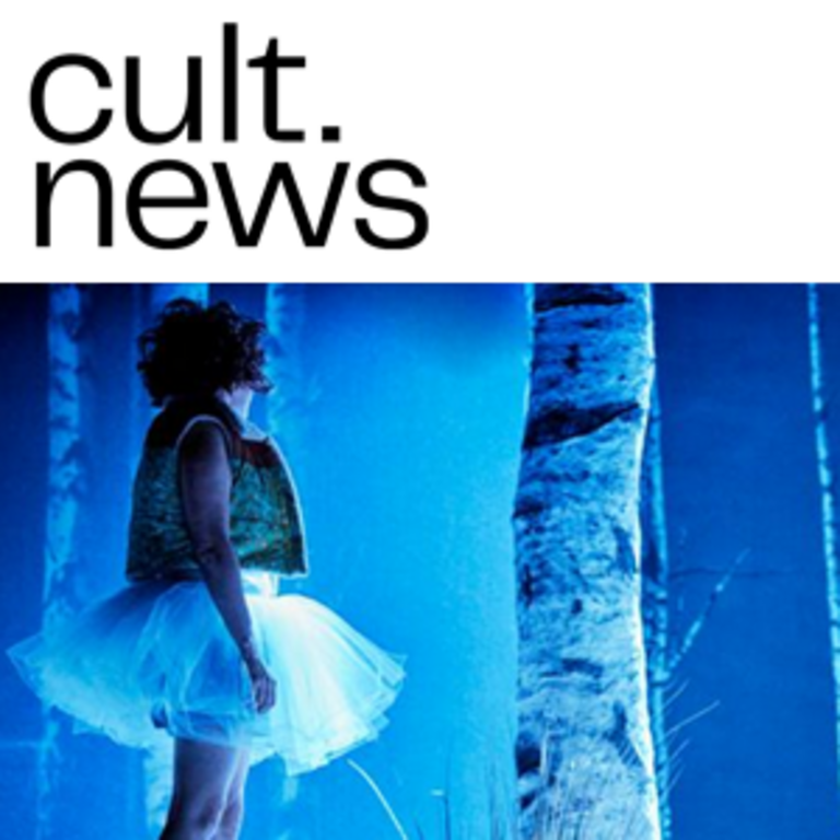 Tandem - Critique du spectacle