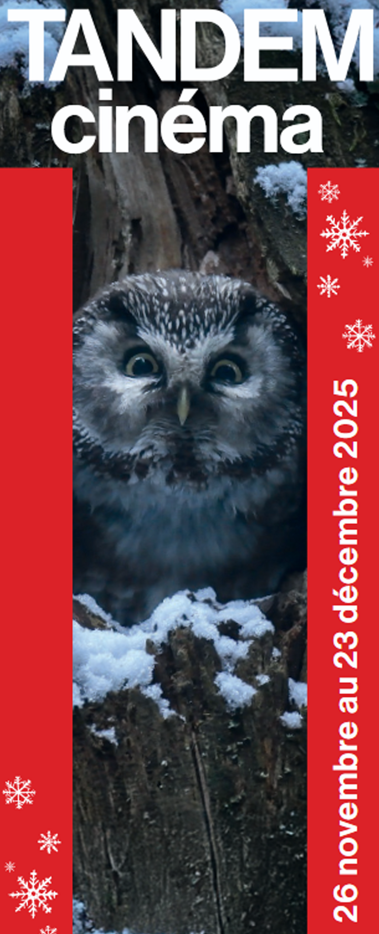 Tandem - Bulletin ciné<br>• Décembre 25