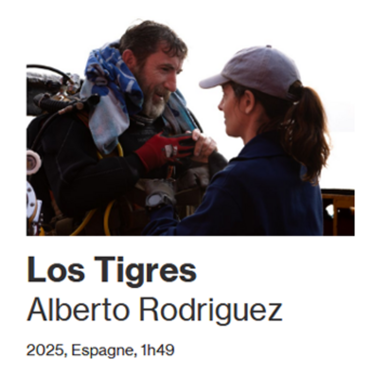 Tandem - Fiche film : LOS TIGRES