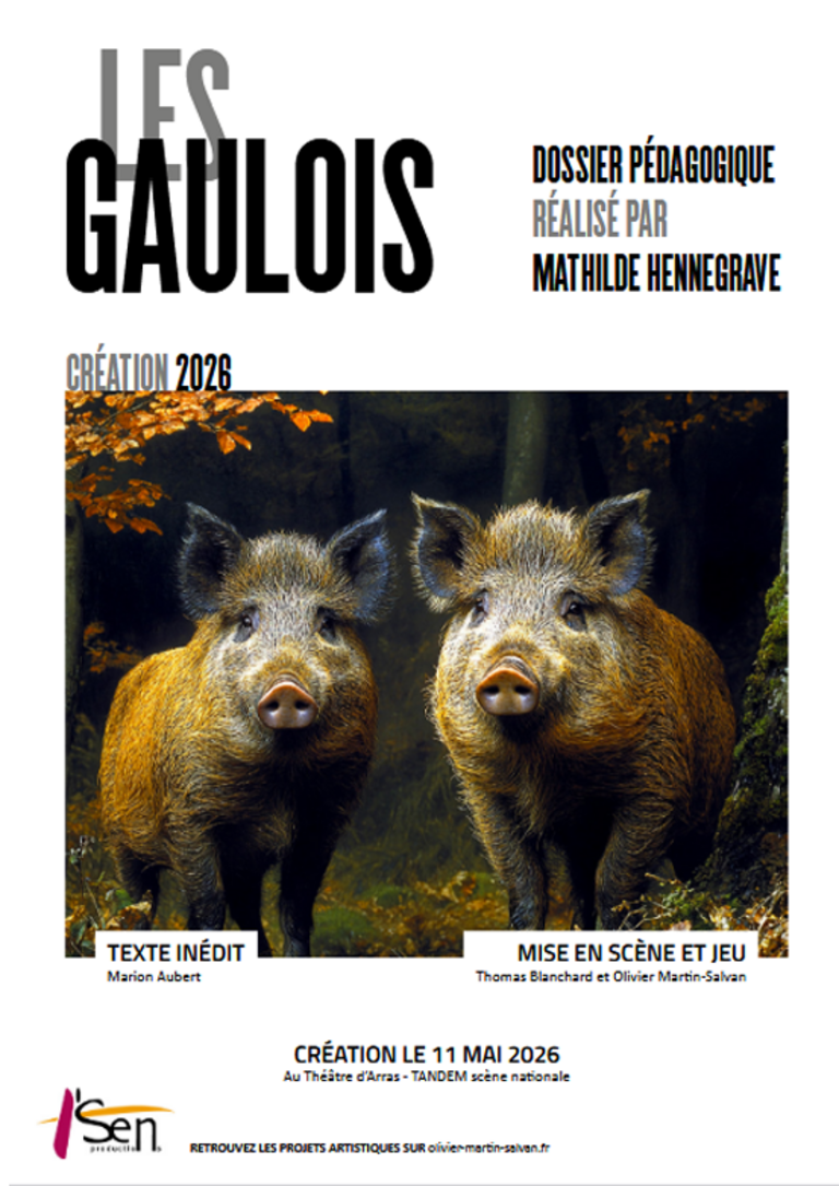 Tandem - Dossier pédagogique <i>Les Gaulois</i>