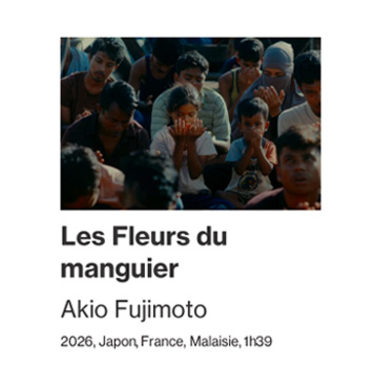 Tandem - Fiche film : LES FLEURS DU MANGUIERS