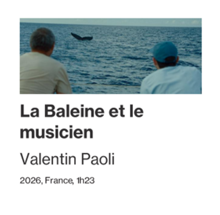 Tandem - FICHE FILM : LA BALEINE ET LE MUSICIEN