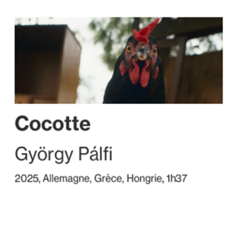Tandem - FICHE FILM : COCOTTE