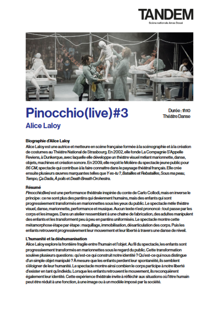 Tandem - Fiche pédagogique <i>Pinocchio(live)#3</i>