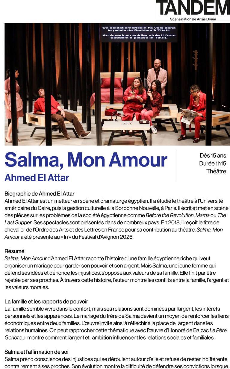 Tandem - Fiche pédagogique <i>Salma, Mon Amour</i>
