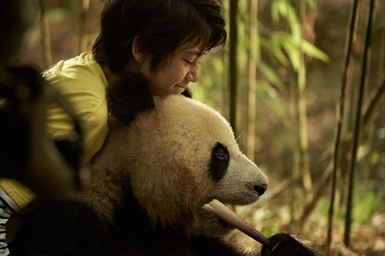 Tandem - Moon le panda