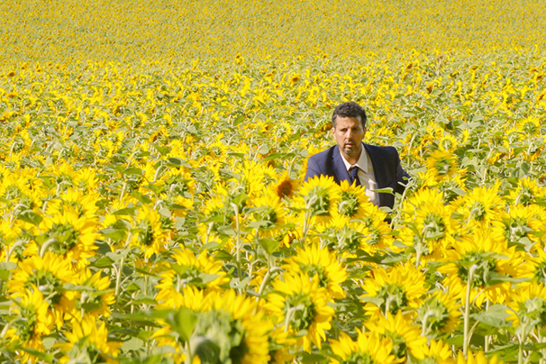 Tandem - ANIMAL TOTEM
