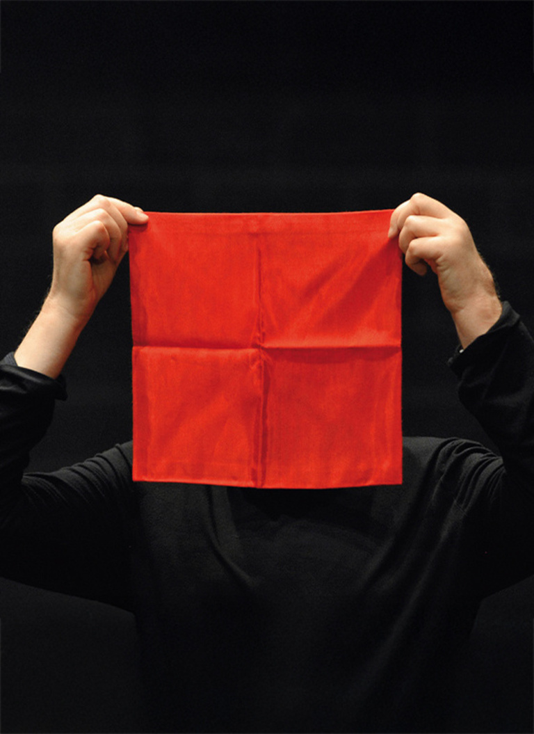 Tandem - Introduction au spectacle par Emmanuel Eggermont