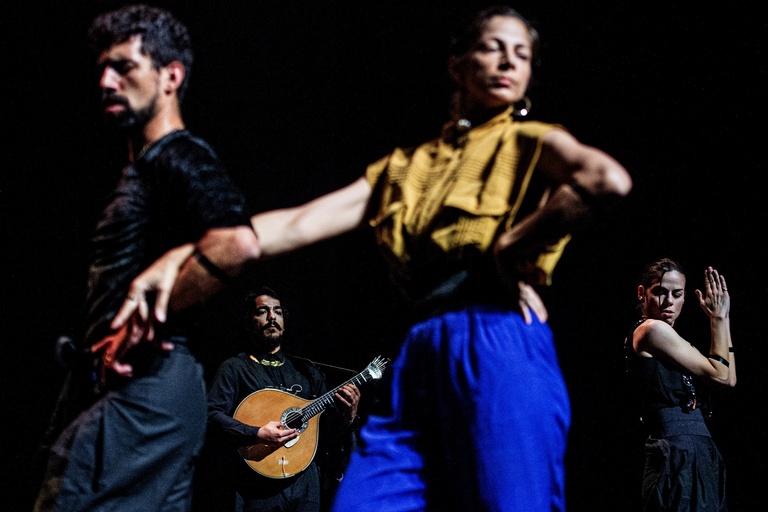 main_title - BF 5 ©Paulo Pimenta.jpg