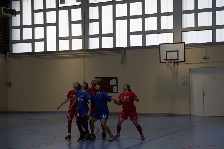 main_title - _1266527.JPG