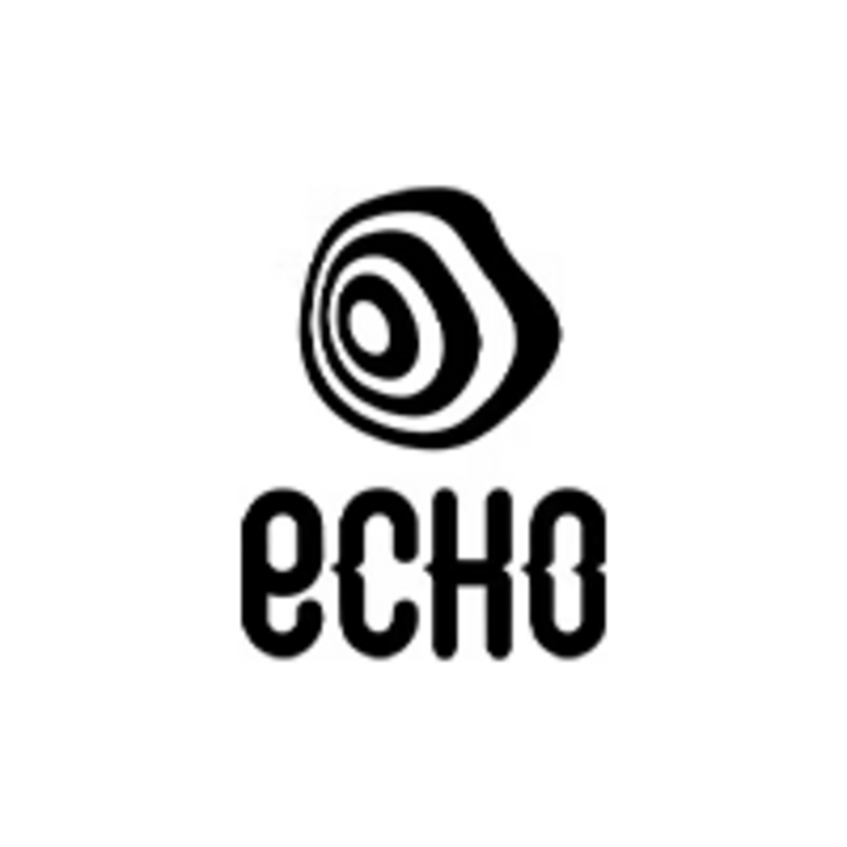 Tandem - logo echo.png
