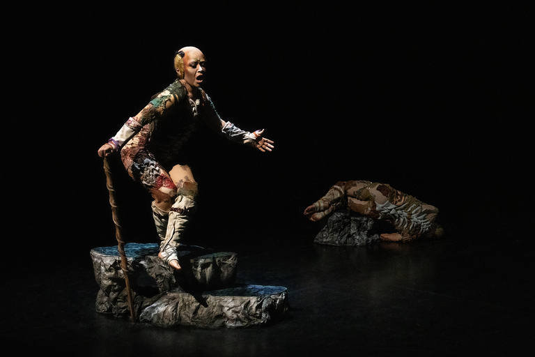 main_title - 03 Último helecho © Nina Laisné web.jpg