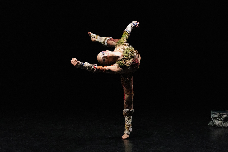 main_title - 04 Último helecho © Nina Laisné web.jpg