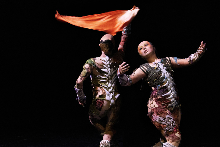 main_title - 06 Último helecho © Nina Laisné web.jpg