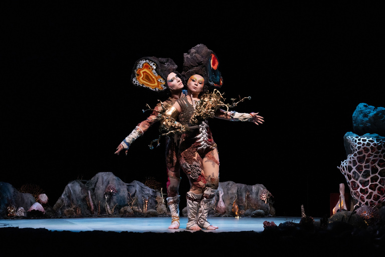 main_title - 11 Último helecho © Nina Laisné web.jpg