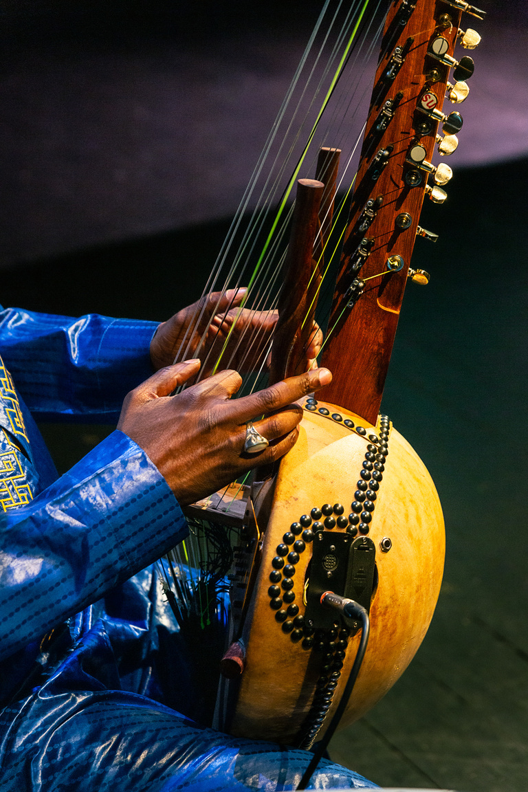 main_title - T-Vidy_Mali Futur live©Claudia Ndebele-6.jpg